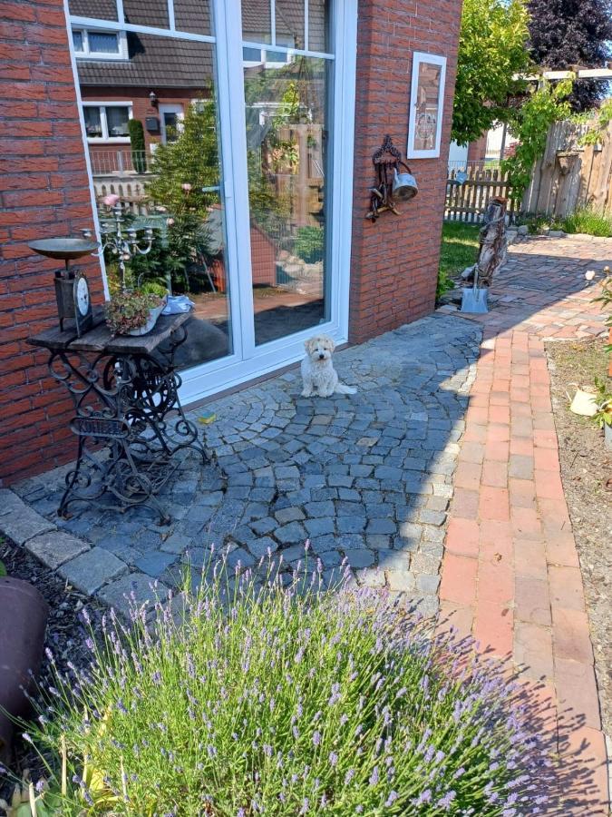 Lotta'S Ferienhaeuschen Lägenhet Emden Exteriör bild